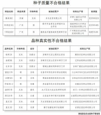 2017年大检查开始,三个省份是重点