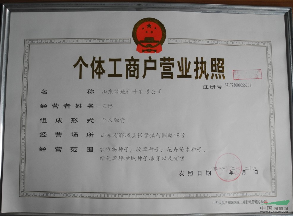 最适合喂猪的牧草_养殖/种植栏目