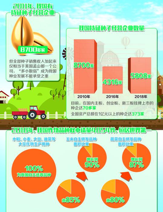 我国种企从"多小散弱"到"扬帆出海"--"中国粮主要用中国种子"靠什么实现